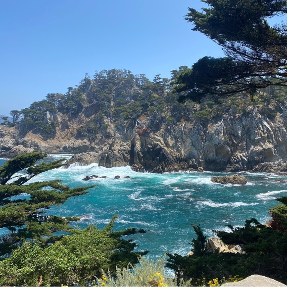 Meet your Posher, Alex - Picture 1 of 1